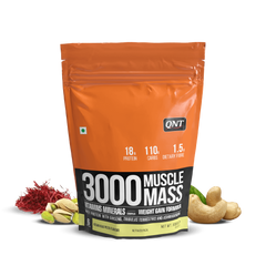 QNT MUSCLE MASS 3000 WEIGHT GAINER
