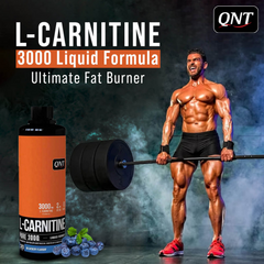 QNT L-CARNITINE SYRUP 450ML