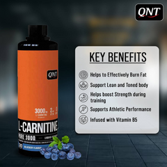 QNT L-CARNITINE SYRUP 450ML