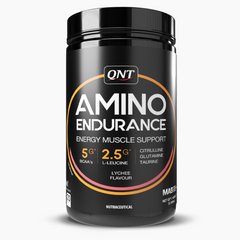 QNT AMINO ENDURANCE BCAA POWDER | 400 G
