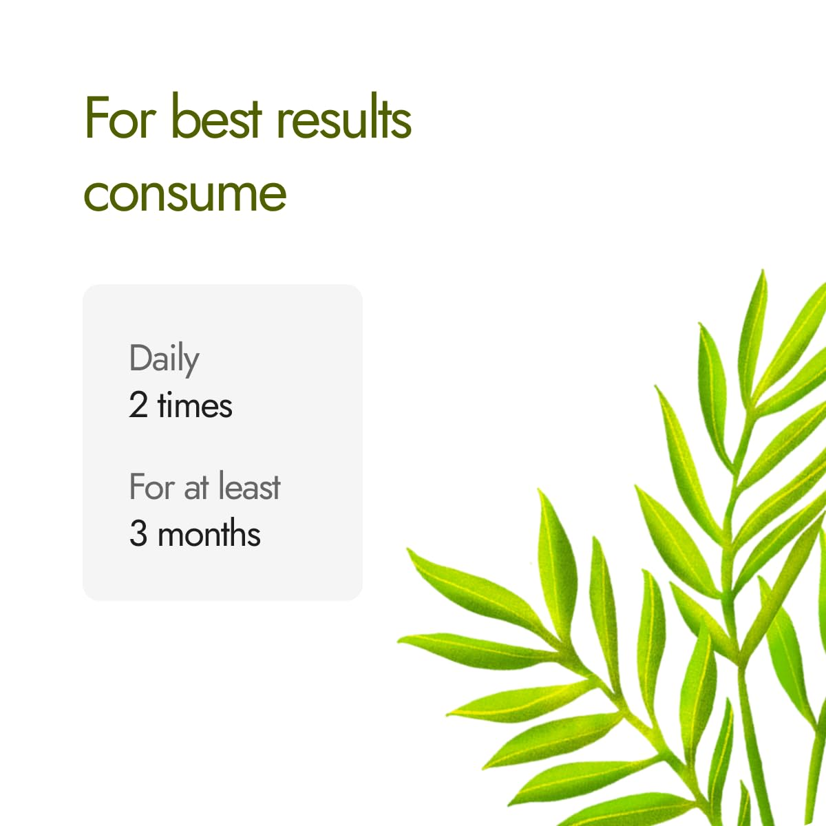 Cholest Fit Capsules - Maintains Healthy Cholesterol