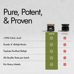Himalayan Shilajit Resin