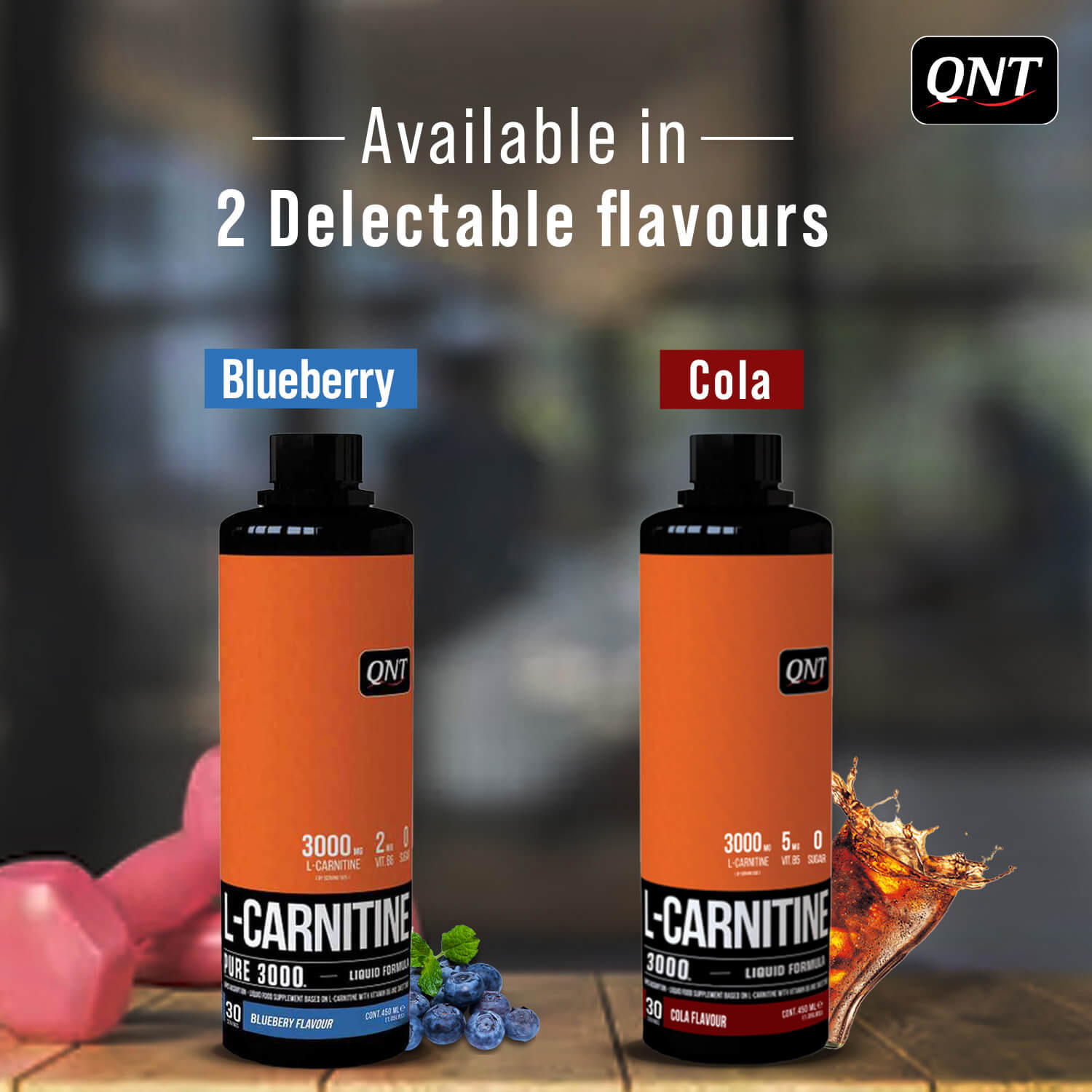 QNT L-CARNITINE SYRUP 450ML