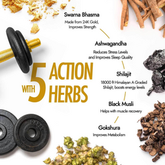 Shilajit Gold Capsules - 60 Caps