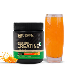 Optimum Nutrition (ON) Micronized Creatine