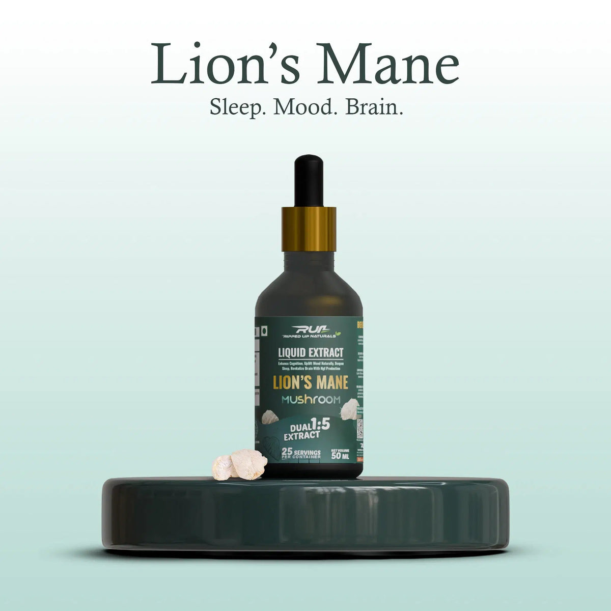 Lion's Mane Mushroom Liquid Extract